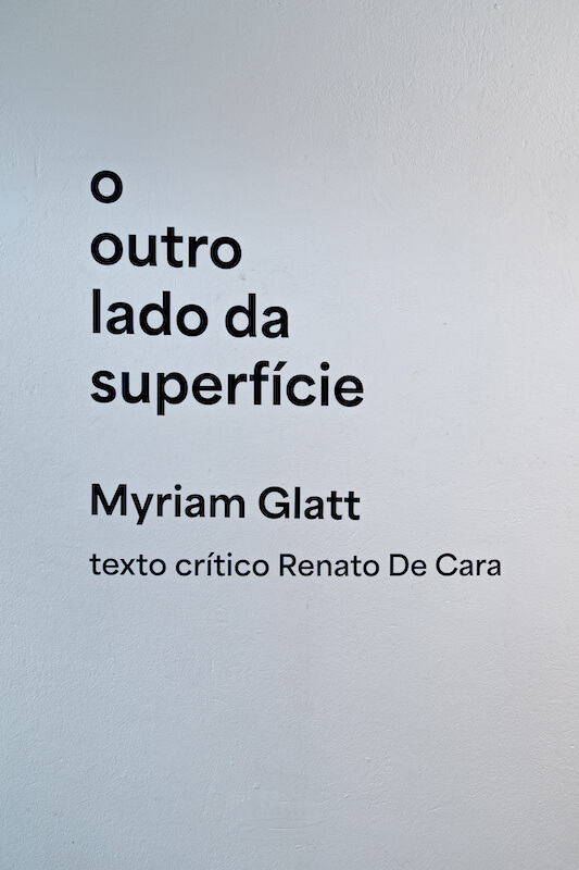 O Outro Lado da Superfície, Myriam Glatt. Fotografias Hector Guinez